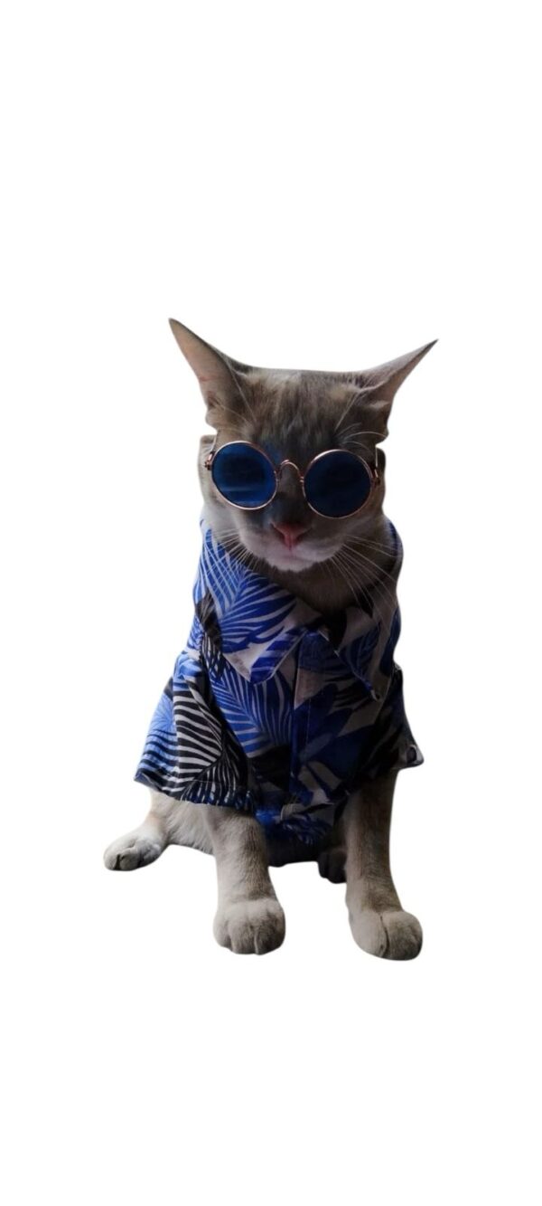 Camisas Veraneras para Mascotas