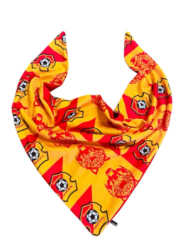 pañuelos del herediano
