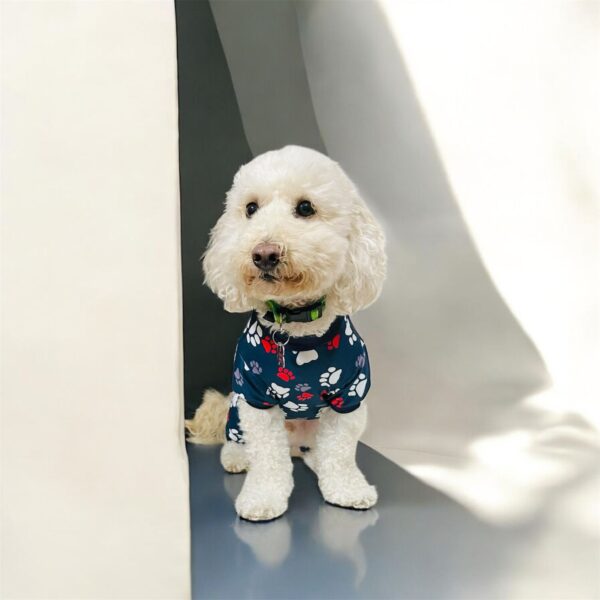 pijama para perro raza mediana - Imagen 2