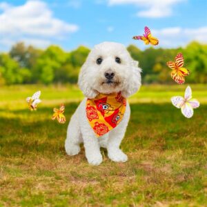 Pañuelos del herediano para mascotas