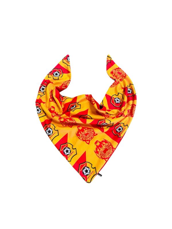 Pañuelos del herediano para mascotas - Imagen 2