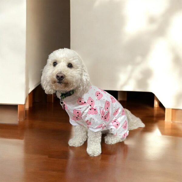 Pijamas para mascotas y dueños - Imagen 2