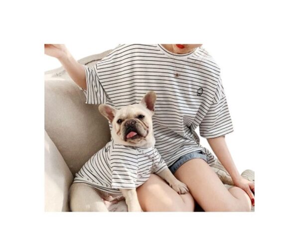 Camisas iguales para mascota y dueño