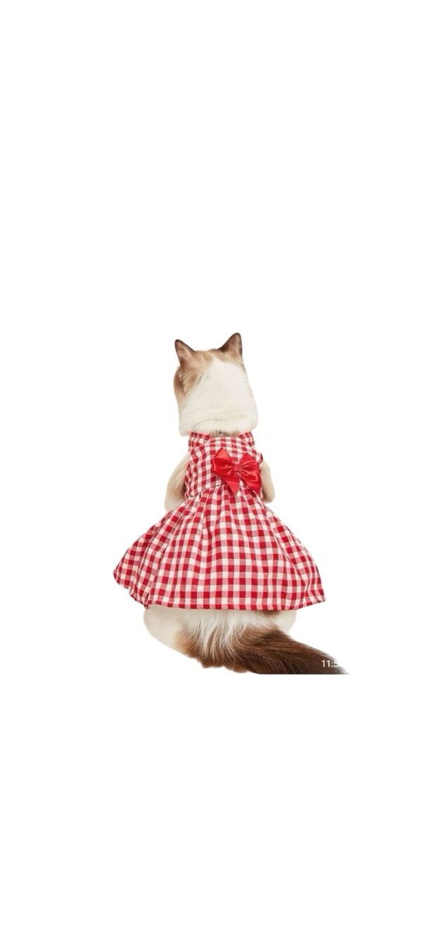 vestidos para gatas
