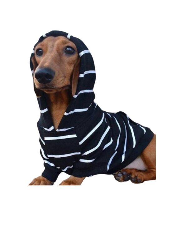 Suéter con gorro para mascotas