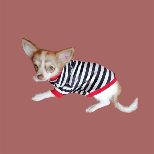 Camisas de rayas para perros - Imagen 3