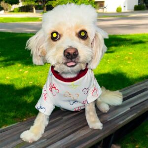 Camisas de Huellitas de Colores para Perros – ¡Diversión y Estilo en Cada Paso!