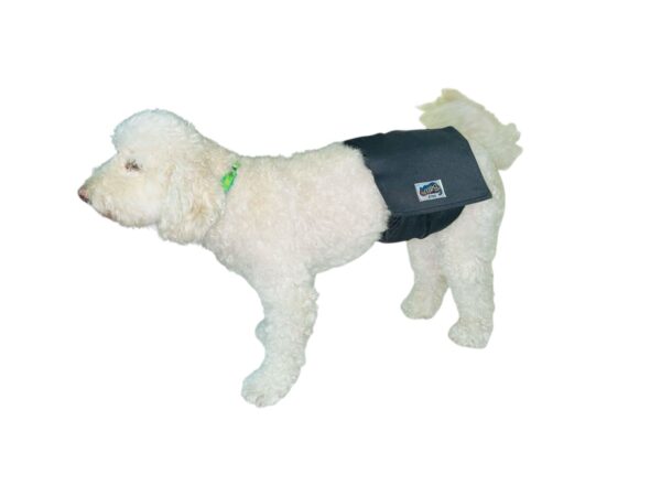 Pañales para Mascotas – Comodidad, higiene y tranquilidad 🐾 - Imagen 3