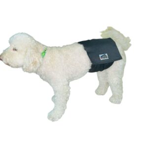 Pañales para Mascotas – Comodidad, higiene y tranquilidad 🐾