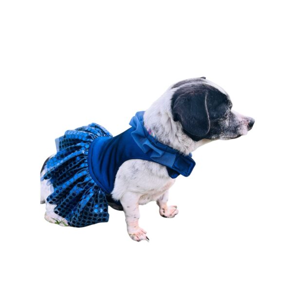 Vestidos de gala para fiestas perrunas - Imagen 3