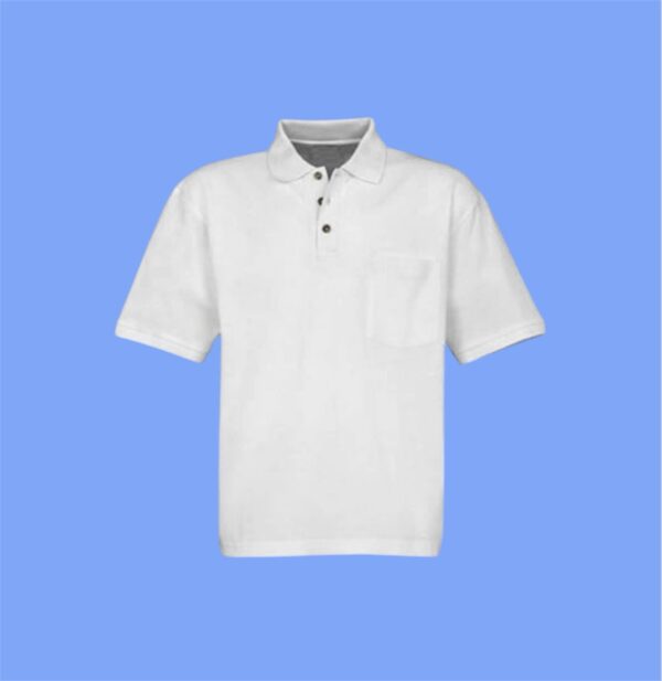 camisa tipo polo